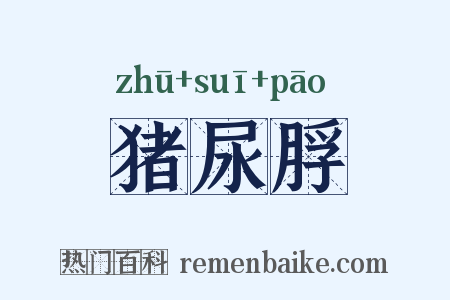 猪尿脬是什么意思的图片